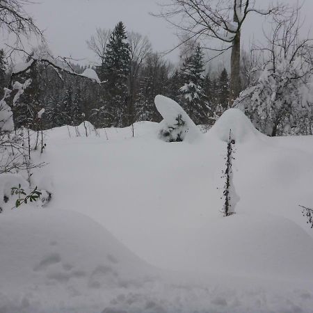 Pension Oberwirt Fischbachau Buitenkant foto